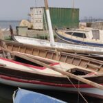 vela latina traditional boat