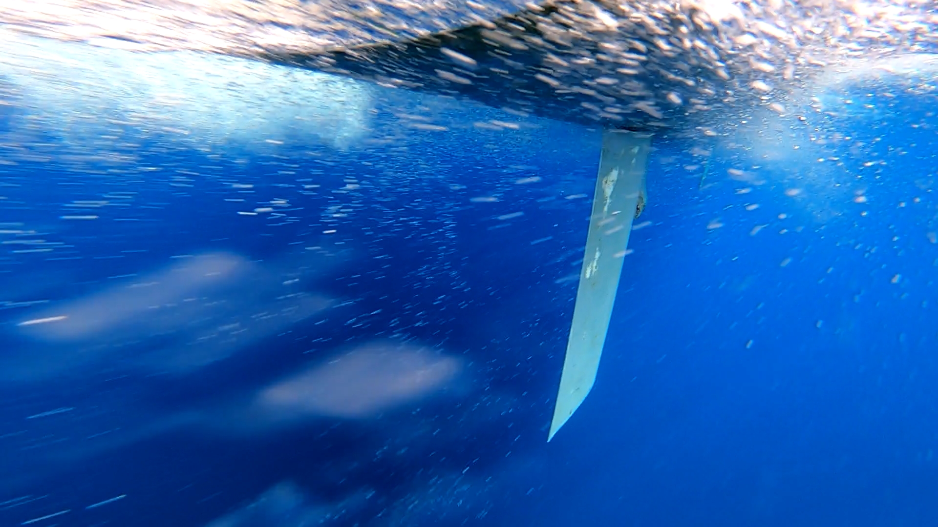 New Rudders Paikea's New Rudder Design: How We Did It and Why - youngbarnacles