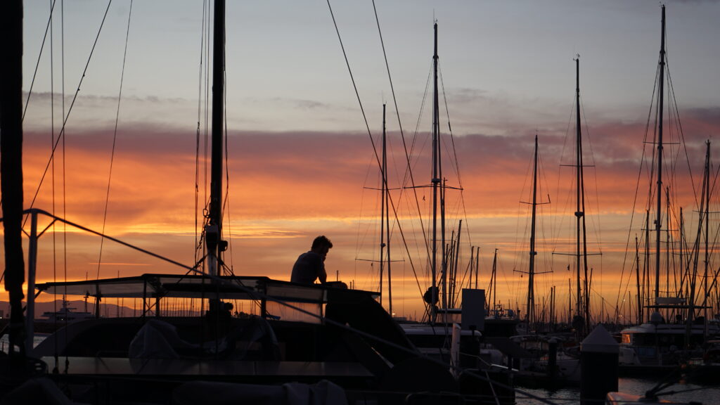 paikea at sunset in the marina
